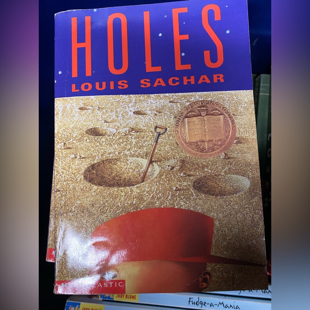 Gently used! Set of 9 books: Holes by Louis Sachar